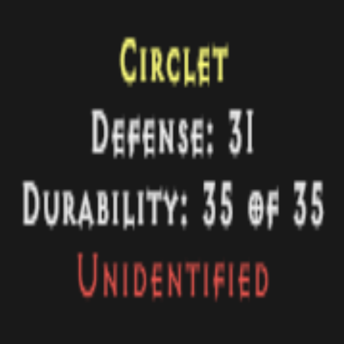 10 - Unidentified Rare Circlets (Hell Found) Description