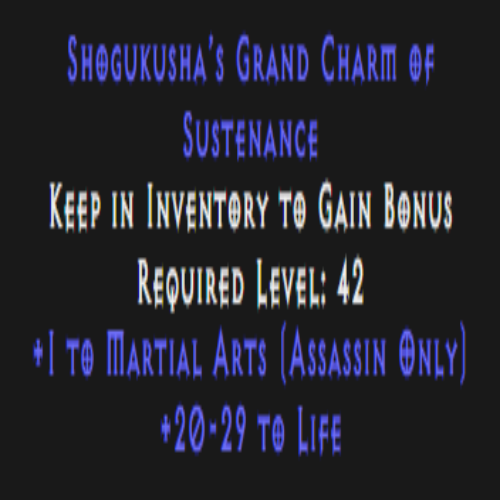 Assassin Martial Arts Skiller 20-29 Life Description