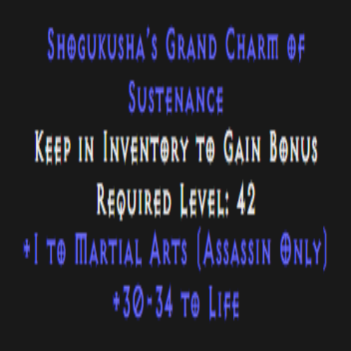 Assassin Martial Arts Skiller 30-34 Life Description