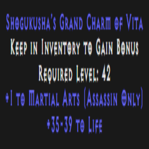 Assassin Martial Arts Skiller 35-39 Life Description
