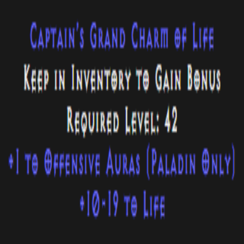Paladin Offensive Skiller 10-19 Life Description