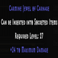 Carmine Jewel of Carnage +24 Maximum Damage