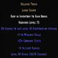 warlock torch 33 plus  item description D2RGEAR
