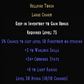 warlock torch 34 plus  item description D2RGEAR