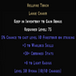 warlock torch 38 plus  item description D2RGEAR