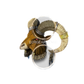 Aldur’s Stony Gaze (Helm)