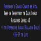 Paladin Defensive Skiller 35-39 Life Description