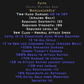Faith Grand Matron Bow 3 Bow Skills 2 All Skills Description