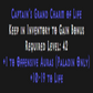 Paladin Offensive Skiller 10-19 Life Description