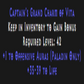 Paladin Offensive Skiller 35-39 Life Description