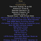 Pride Cryptic Axe Ethereal 16-19 Aura Description